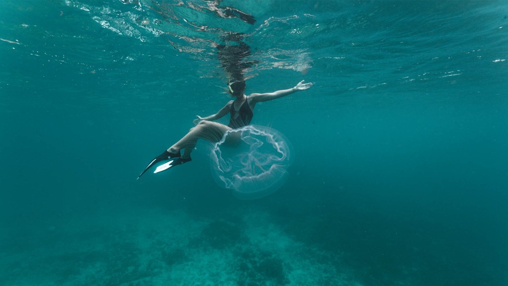 Woman swimming underwater next to a large jellyfish in clear blue water.