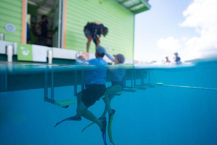 Person with fins underwater near a green building by the ocean surface.