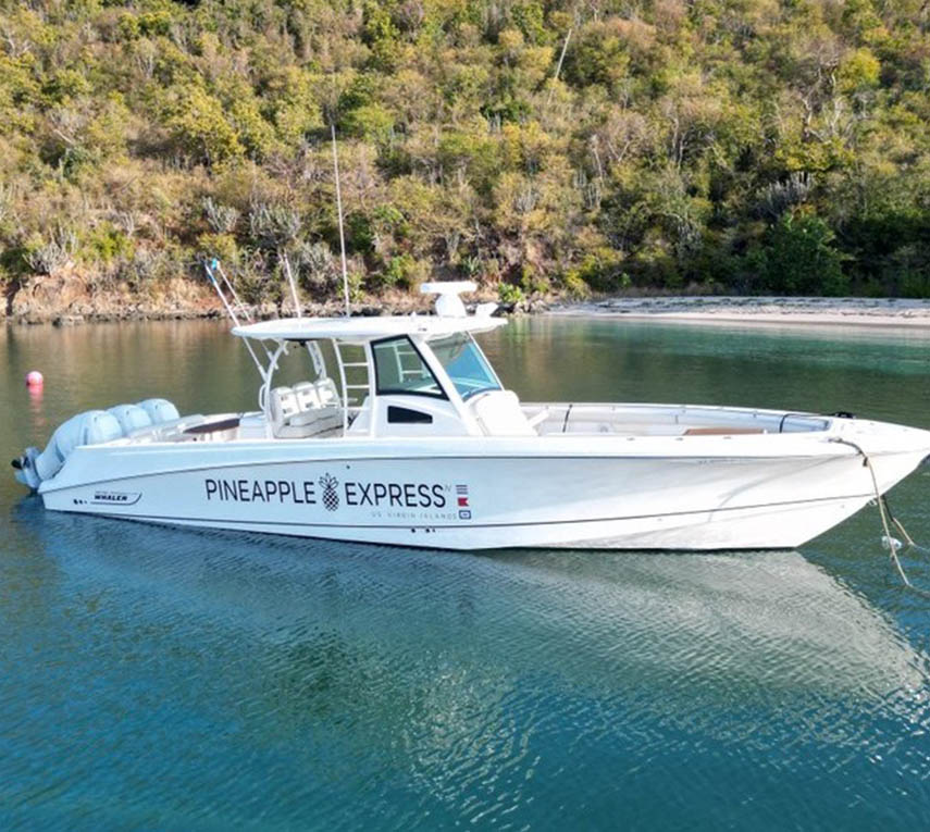 White boat named 'Pineapple Express' docked in calm waters with a wooded hill in the background.