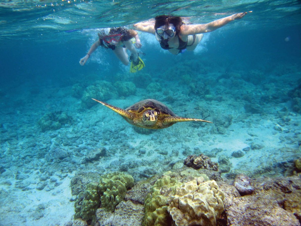 Two snorkelers swimming above a sea turtle near a coral reef underwater.