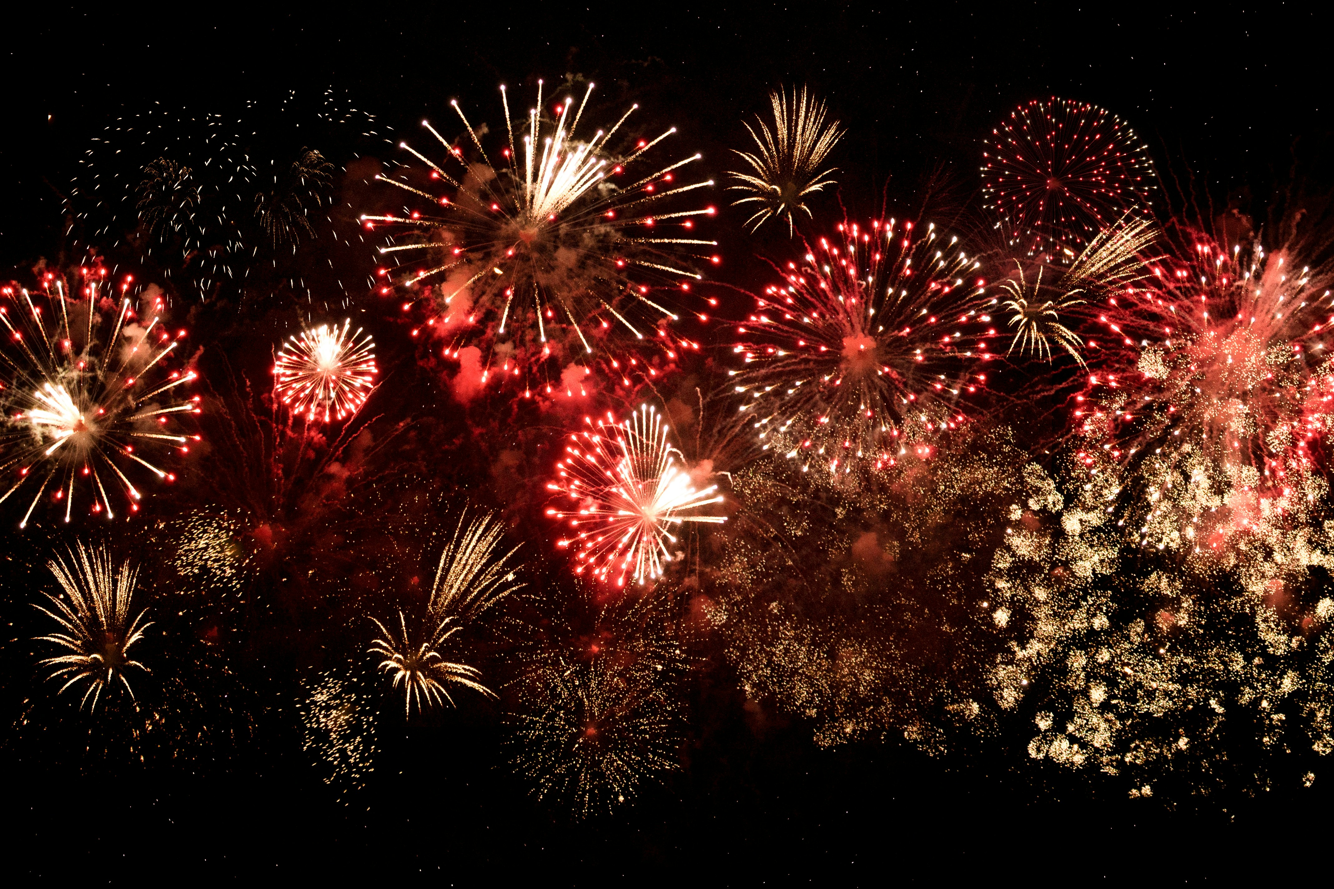 Colorful fireworks exploding in the night sky.