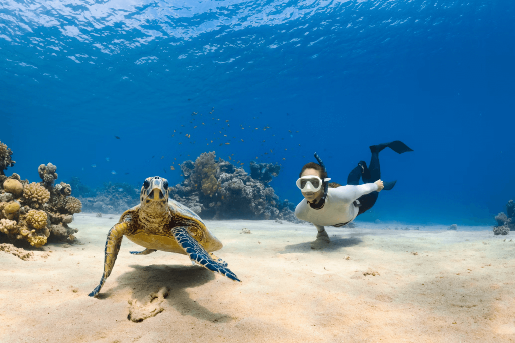 A snorkeler swims alongside a sea turtle over sandy ocean floor with coral in the background.