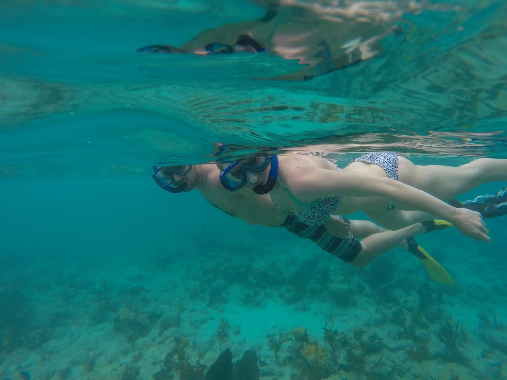 Person snorkeling underwater near coral reef, wearing mask and fins.
