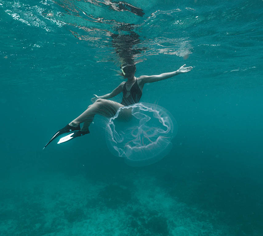 Person swimming underwater near a large jellyfish.
