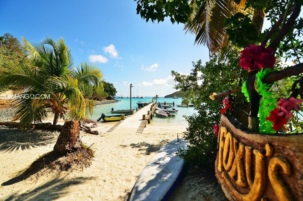 Sunny beach with palm trees, a wooden pier, and boats on turquoise water.