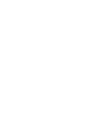 Logo with a pineapple and text: Cruz Bay Watersports.