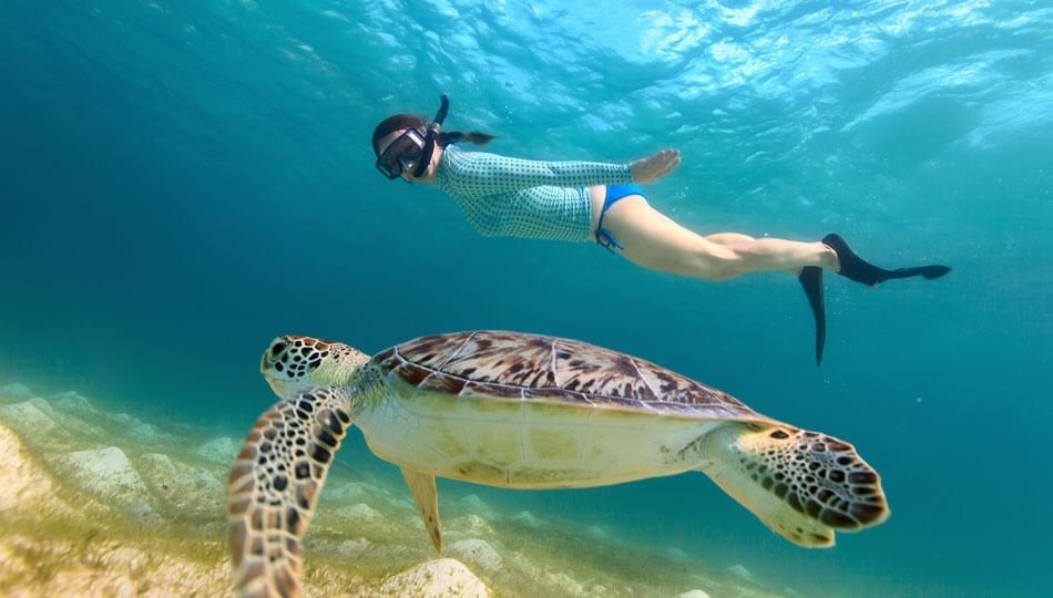 Person snorkeling underwater near a sea turtle in clear blue ocean.