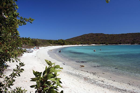 Top 4 St. John Snorkeling Spots